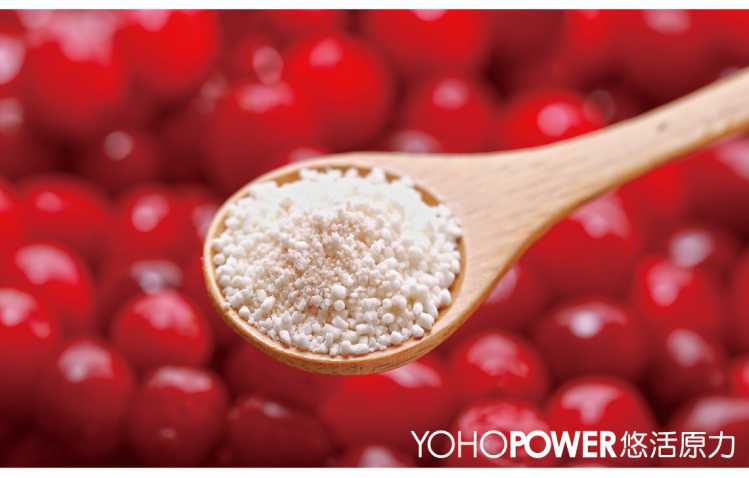 “LP28敏立清益生菌蔓越莓多多