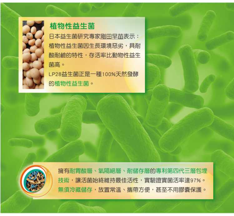 “LP28敏立清益生菌青蘋果多多