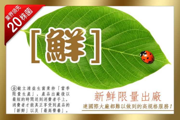 金敏立清益生菌 YOHOPOWER