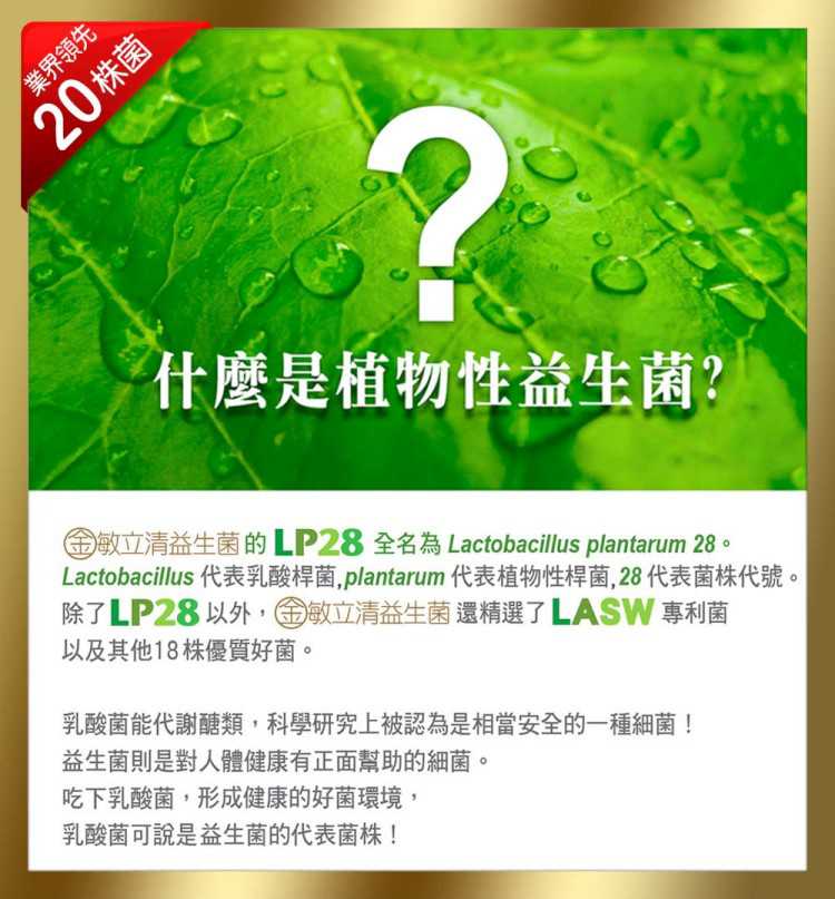 金敏立清益生菌 YOHOPOWER