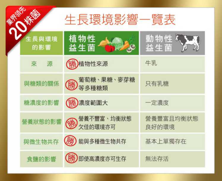 金敏立清益生菌 YOHOPOWER