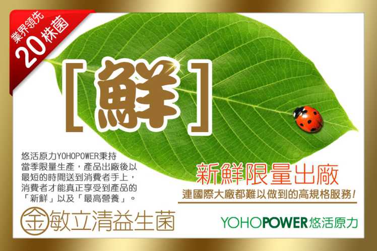金敏立清益生菌 YOHOPOWER