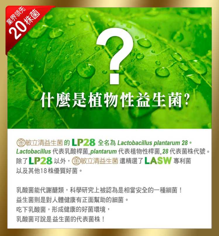 金敏立清益生菌 YOHOPOWER