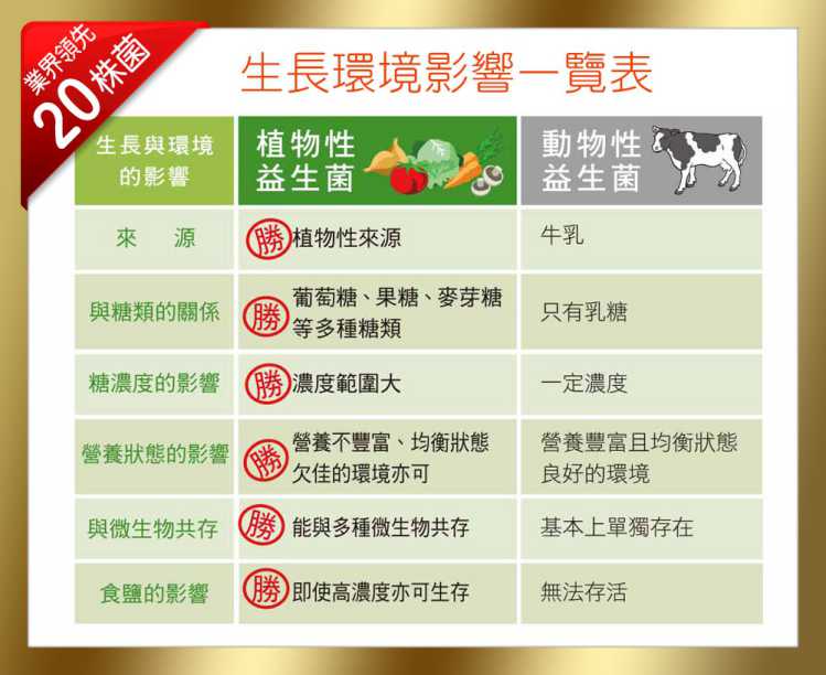 金敏立清益生菌 YOHOPOWER